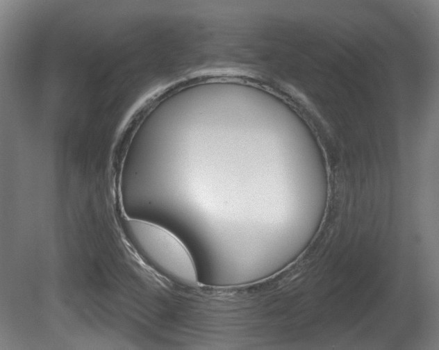 X0000079581408200612010913