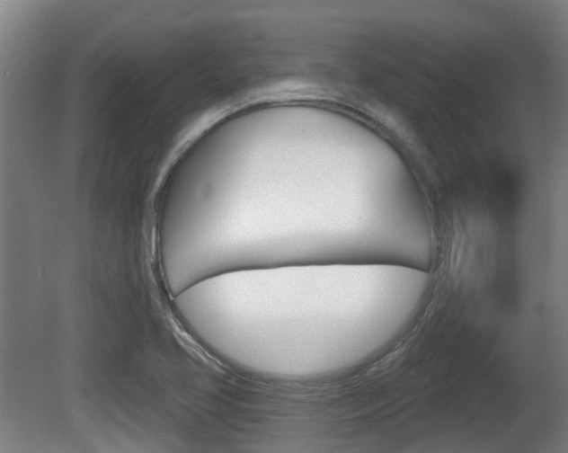 X0000079581413200612010913