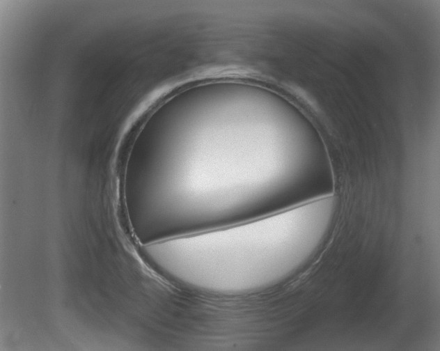 X0000079581414200612010913