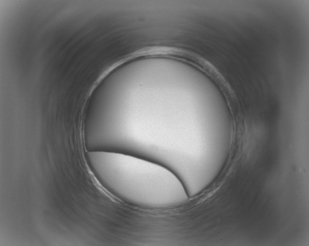 X0000079581417200612010913