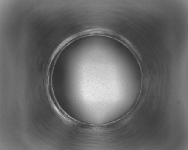 X0000079581418200612010913