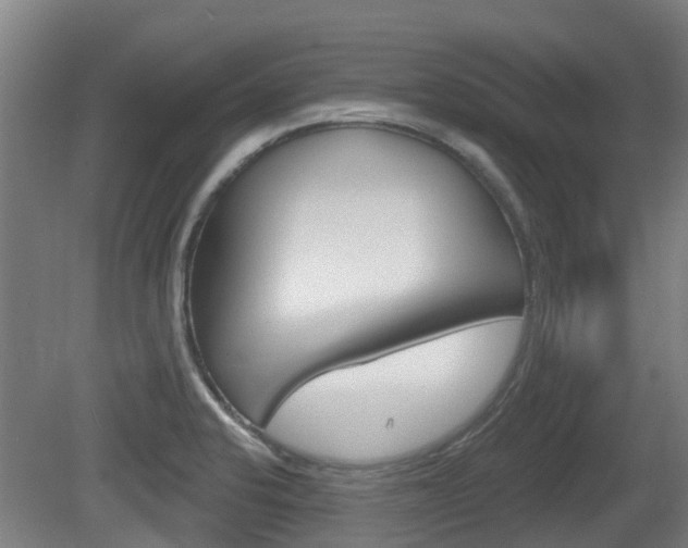 X0000079581424200612010914