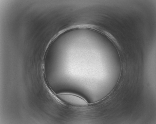 X0000079581428200612010914