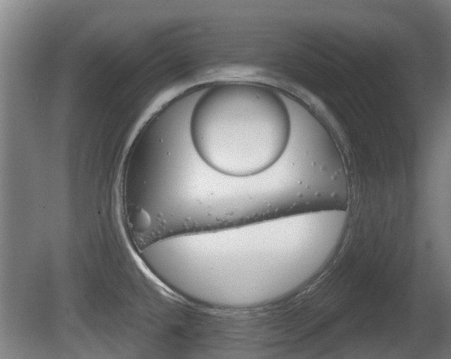 X0000079581432200612010914