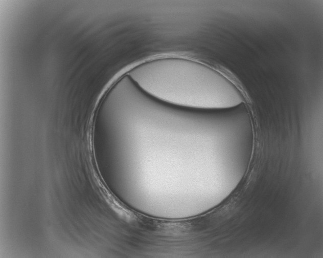 X0000079581436200612010914