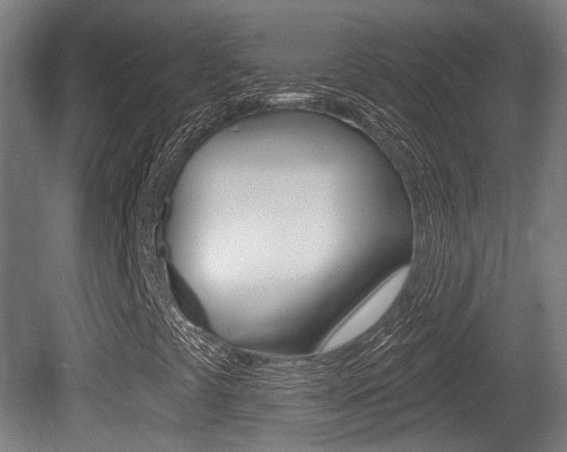 X0000079581441200612010913