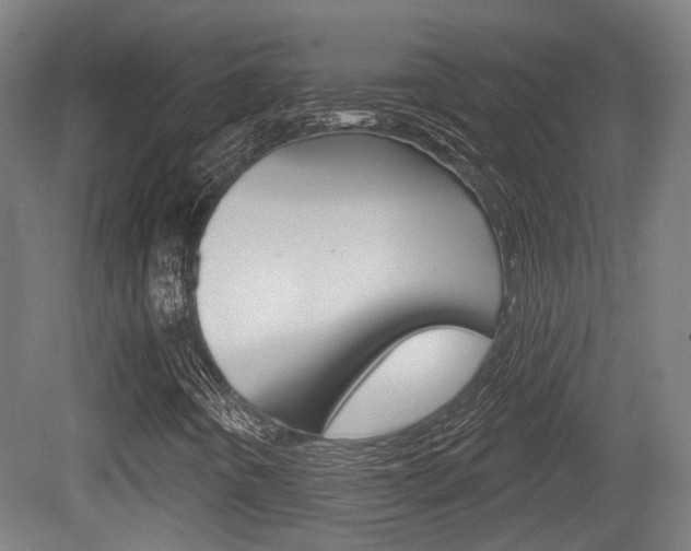 X0000079581442200612010913