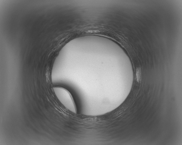 X0000079581444200612010913