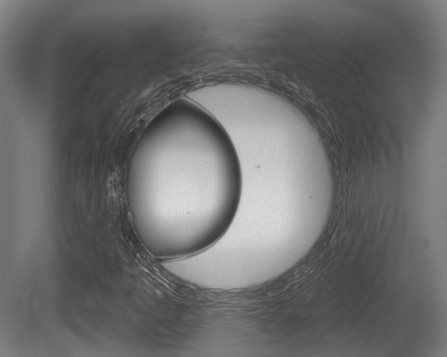 X0000079581445200612010913