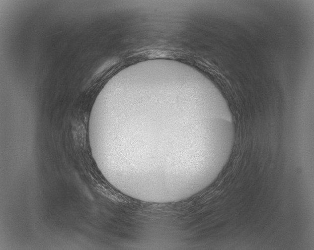 X0000079581446200612010913
