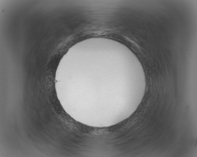 X0000079581447200612010913