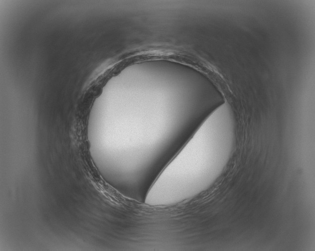 X0000079581448200612010913