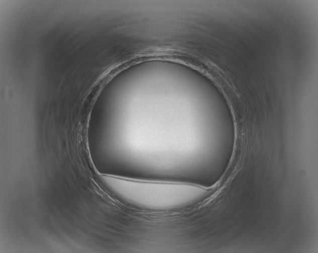 X0000079581449200612010913