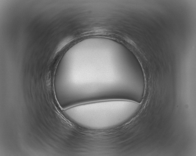 X0000079581450200612010913