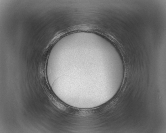 X0000079581451200612010913