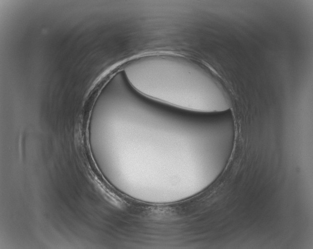 X0000079581452200612010913
