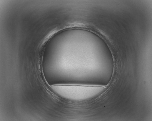 X0000079581455200612010913