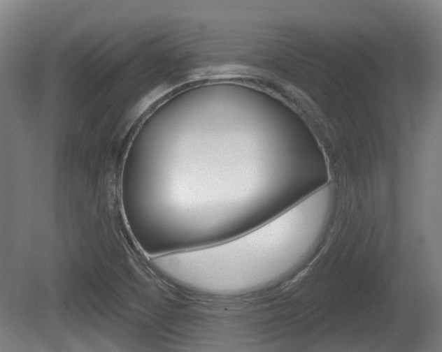 X0000079581457200612010913