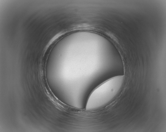 X0000079581458200612010913