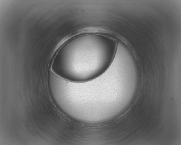 X0000079581465200612010913