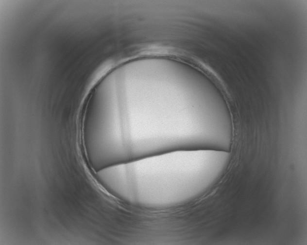 X0000079581467200612010913