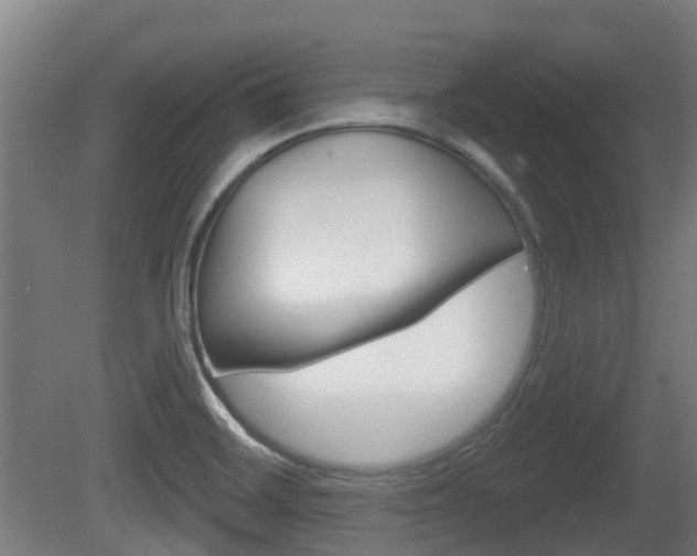 X0000079581468200612010913