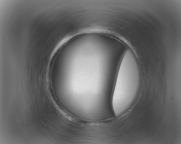 X0000079581469200612010913
