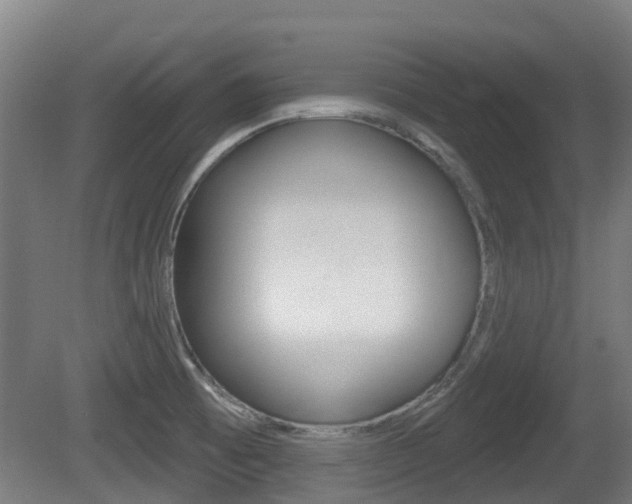 X0000079581473200612010913