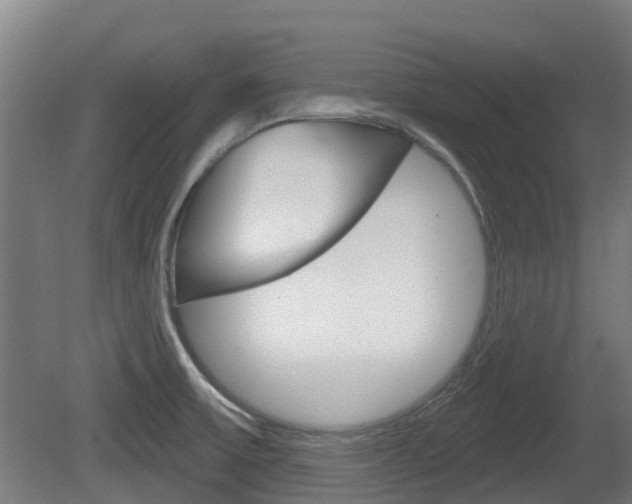 X0000079581475200612010912