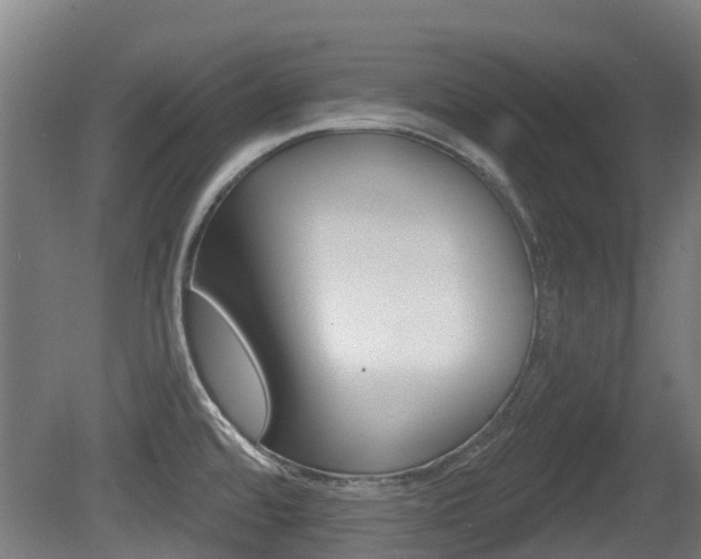 X0000079581480200612010912
