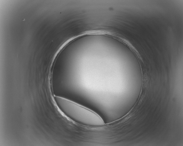 X0000079581484200612010912