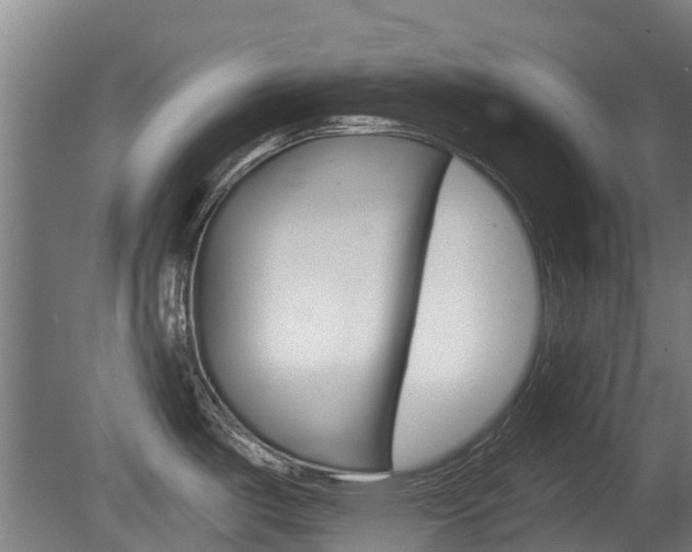 X0000079581487200612010912