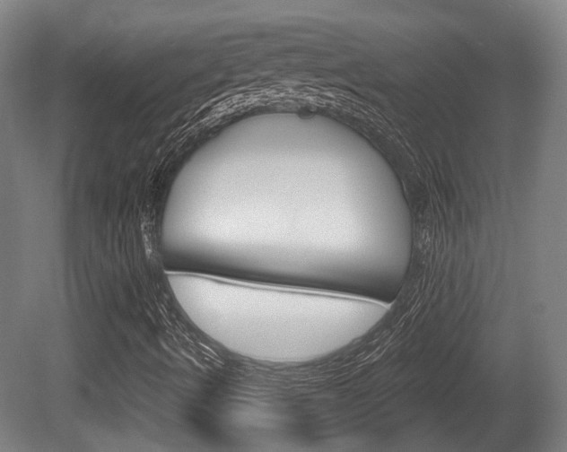X0000079581490200612010911