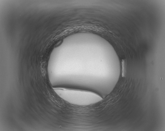 X0000079581491200612010911