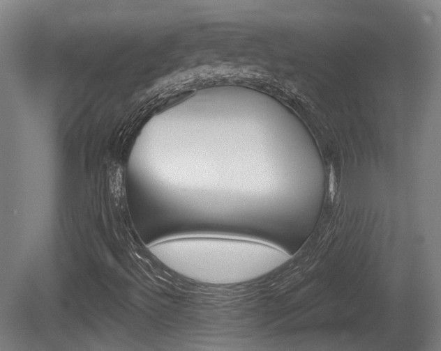 X0000079581492200612010911