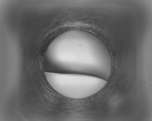 X0000079581493200612010912