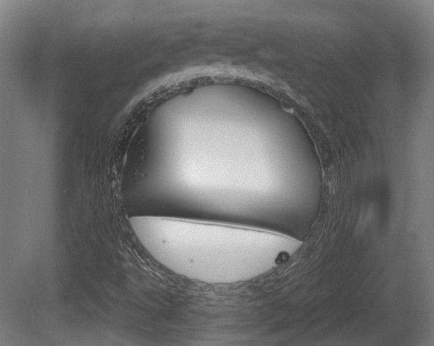 X0000079581495200612010912