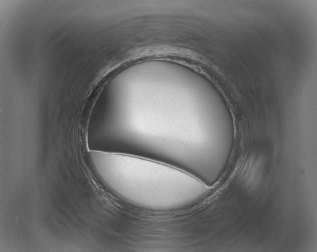 X0000079581497200612010912