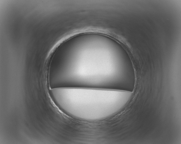 X0000079581504200612010912