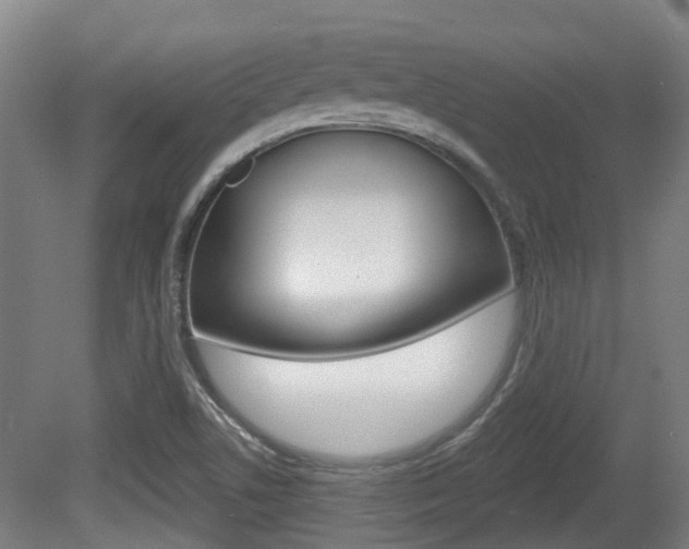 X0000079581506200612010912