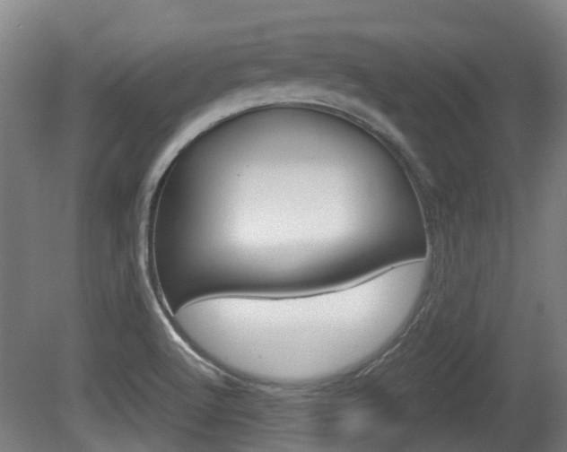 X0000079581512200612010912