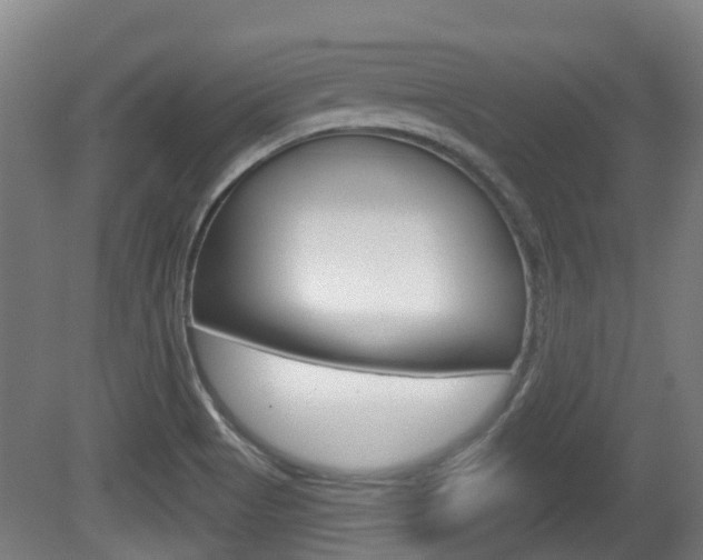 X0000079581513200612010912