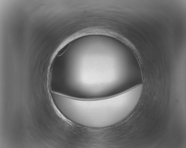 X0000079581528200612010912