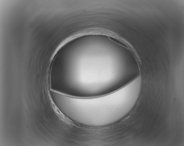 X0000079581530200612010912