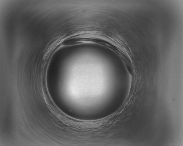 X0000079580001200612011230
