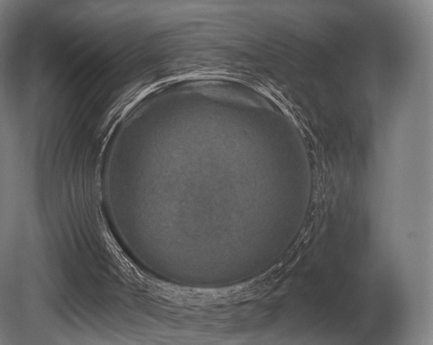 X0000079580002200612011230