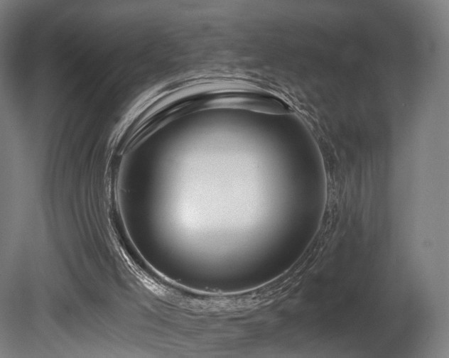 X0000079580005200612011230