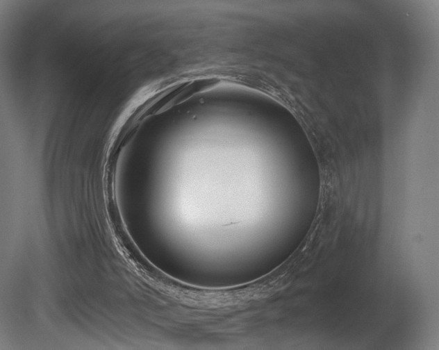 X0000079580006200612011230