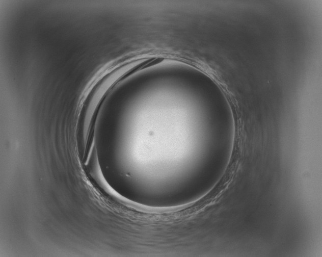 X0000079580007200612011230