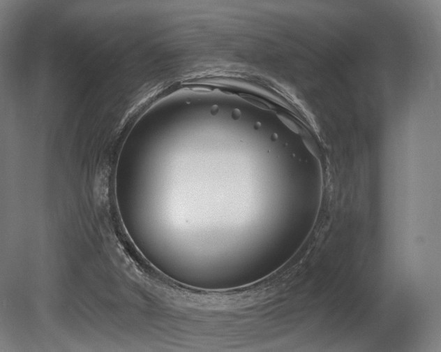 X0000079580010200612011230
